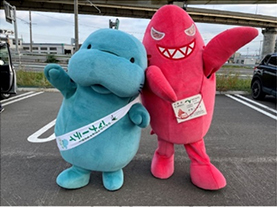 マナーティ・イカンザメのグリーティングの写真