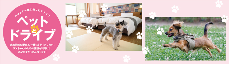 ペットと一緒に楽しむドライブのイメージ画像