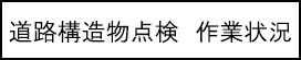道路構造物点検　作業状況のキャプションのイメージ画像