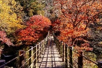 花貫渓谷（茨城県）の写真
