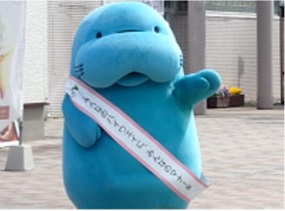 マナーティの参加の写真