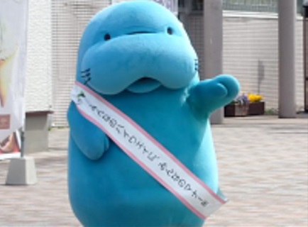 「マナーティ」の参加の写真