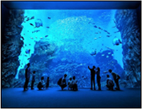 仙台うみの杜水族館（宮城県）のイメージ画像