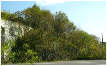 環境への取り組みのイメージ画像