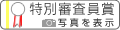 特別審査員賞のイメージ画像