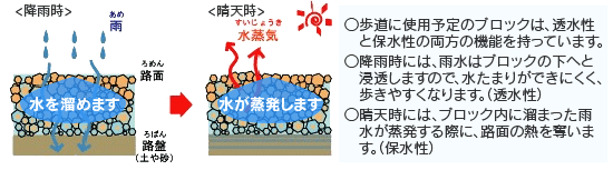 歩道に使用予定のブロックは、透水性と保水性の両方の機能を持っています。のイメージ画像
