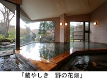 「蔵やしき　野の花畑」の写真