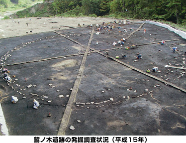 รูปภาพรูปภาพของการขุดและสถานะการสำรวจของเว็บไซต์ Washinoki (2003)