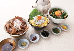 茨城县荣光碗的形象