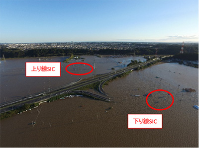 Mitokita SIC整個圖像的圖像