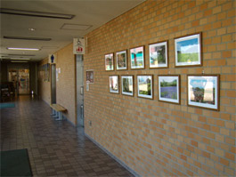 Image image of landscape photo panel