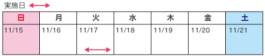 カレンダー：平成21年11月17日（火） 朝9時～17時までのイメージ画像