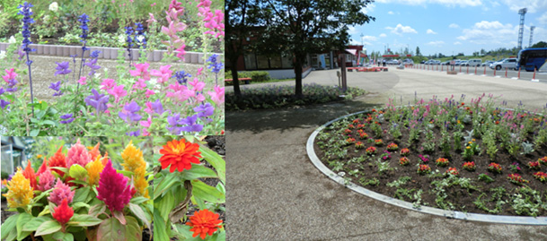 紫竹ガーデンのイメージ画像