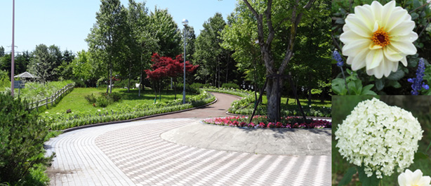 上野ファームのイメージ画像