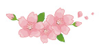 桜のイメージ画像