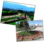 写真のイメージ画像