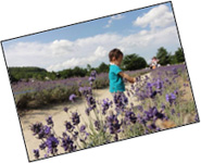 写真のイメージ画像