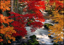 写真のイメージ画像