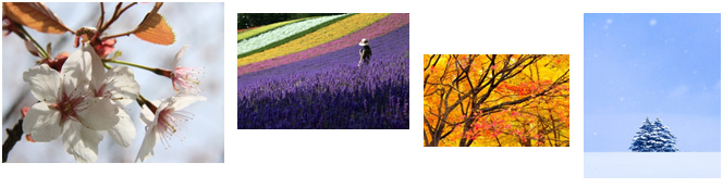 写真のイメージ画像