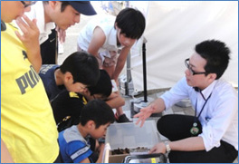 【クワガタ虫のプレゼント】のイメージ画像