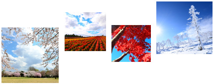 Image of the 7th NEXCO EAST Hokkaido Four Seasons Photo Contest