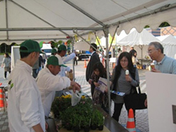 昨年の実施状況のイメージ画像