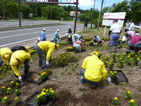 花壇の花の植え替えの写真2
