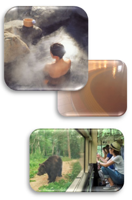 道東からの素敵なプレゼントのイメージ画像