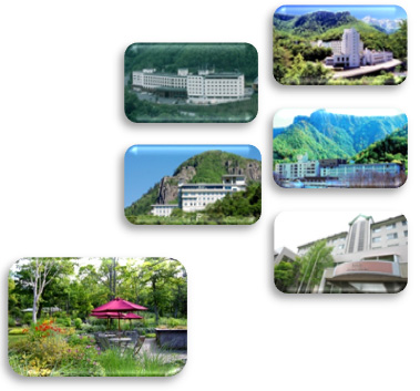 道北からの素敵なプレゼントのイメージ画像