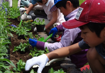 昨年の様子のイメージ画像