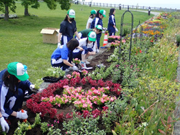 昨年の風景【1】の写真