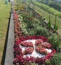 昨年の風景【3】の写真