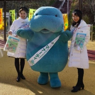 交通安全キャンペーンの写真2