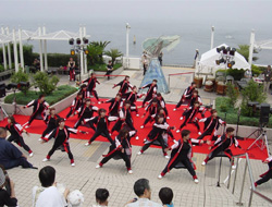 Image image of "Acer drum dance"