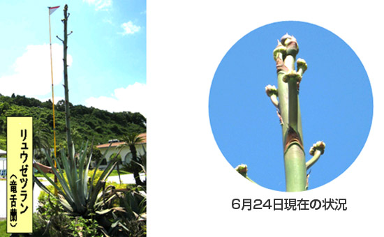 6月24日現在の状況のイメージ画像