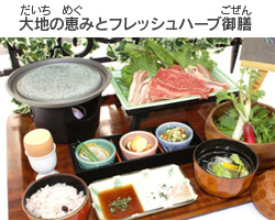 大地の恵みとフレッシュハーブ御膳の写真のイメージ画像