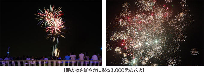 夏の夜を鮮やかに彩る3,000発の花火の写真
