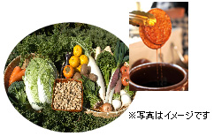 魅力ある千葉県の観光PRコーナーのイメージ画像