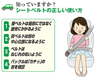 Image of correct use of seat belt