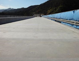 Image of [Construction of new concrete floor slab completed]