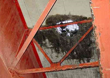 ภาพถ่ายของตัวอย่างความเสียหายของสะพาน (พื้น)