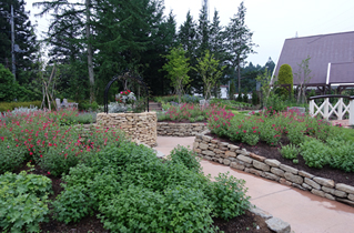 ハイウェイガーデン（5月18日撮影）の写真2