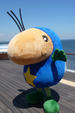 Photograph of "Umihotaru-kun"