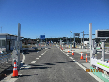 11月21日時点の写真