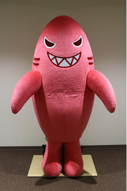 イカンザメのイメージ画像