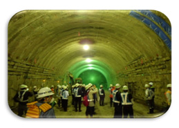 実施内容のイメージ画像