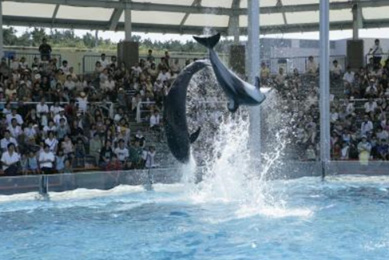 マリンピア日本海（新潟市）のイメージ画像