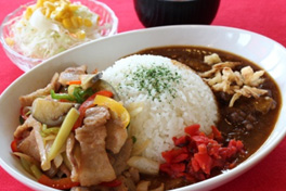 牛すじカレーとピリ辛豚肉のスタミナボウル（1,200円）【越後川口SA（上り線）レストラン】のイメージ画像