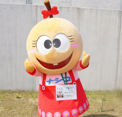 「幸水ナシコ」（福島県）のイメージ画像