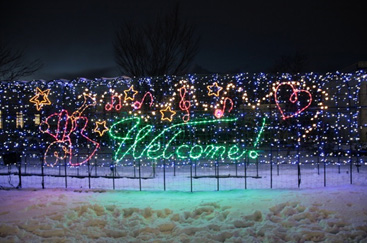 昨年のイルミネーションの様子のイメージ画像